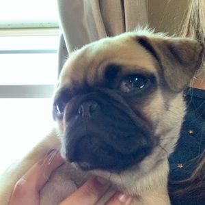 Meet your Posher, Omar